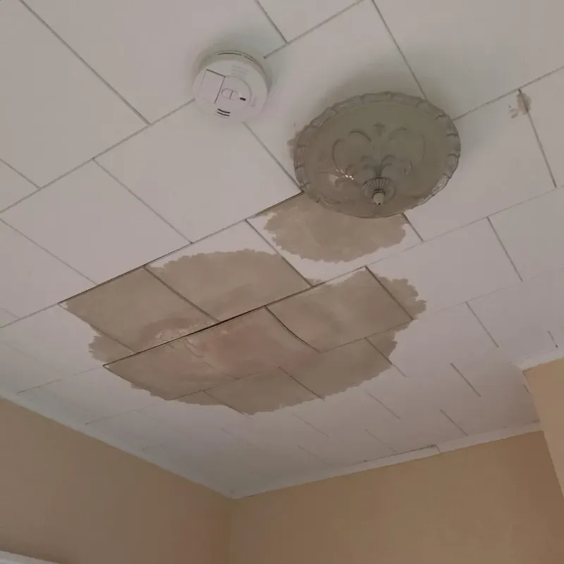 Ceiling Water Damage Repair in Wayne Heights, PA